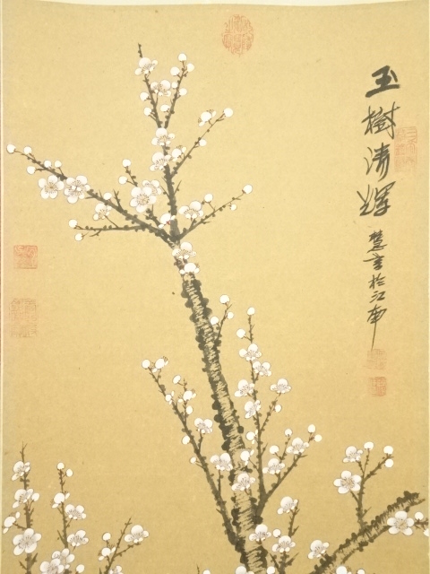 道具 ] - 道具 中国画 慧芳筆 白梅 肉筆紙本掛軸 | ネットショップ圭